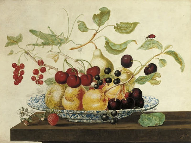 1668-Johanna Helena Herolt Graff - Natura morta di frutta con insetti